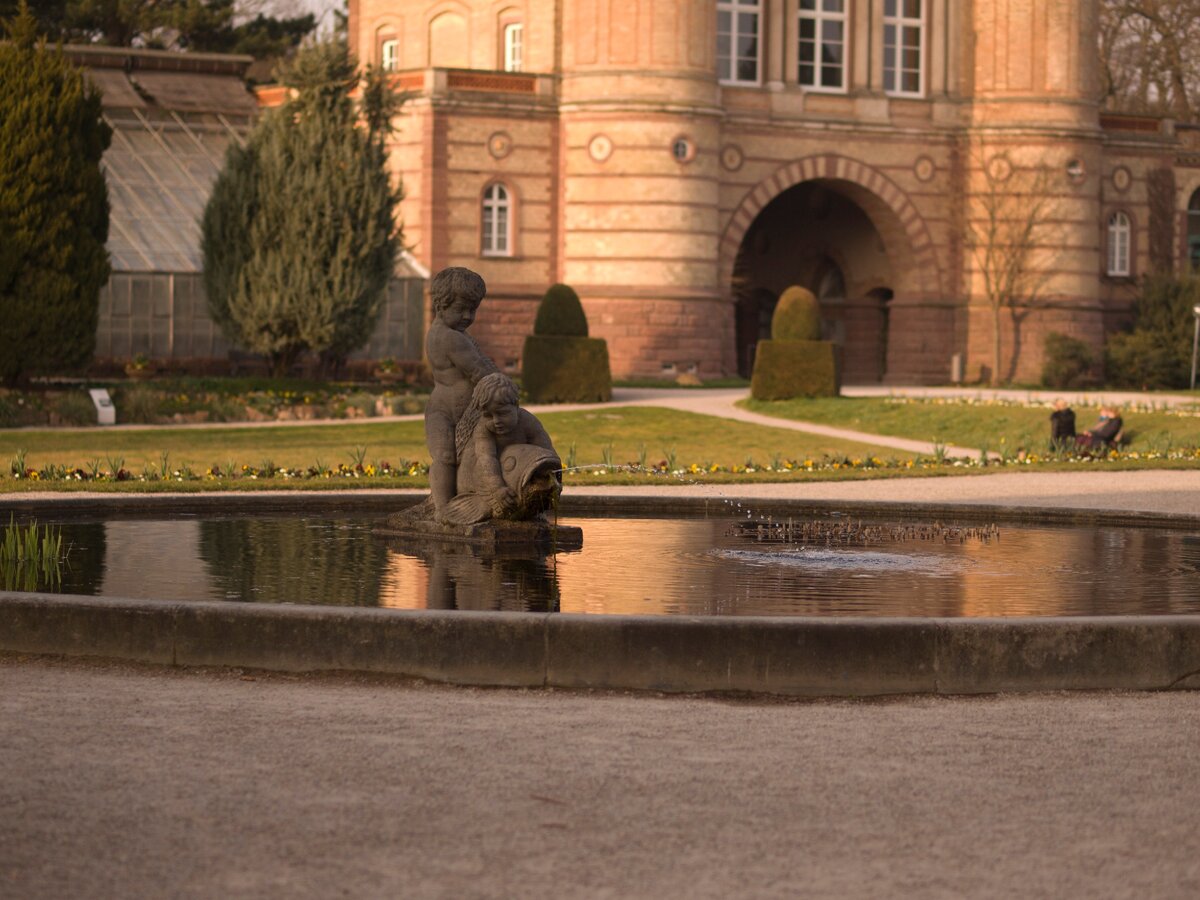 Здание оранжереи