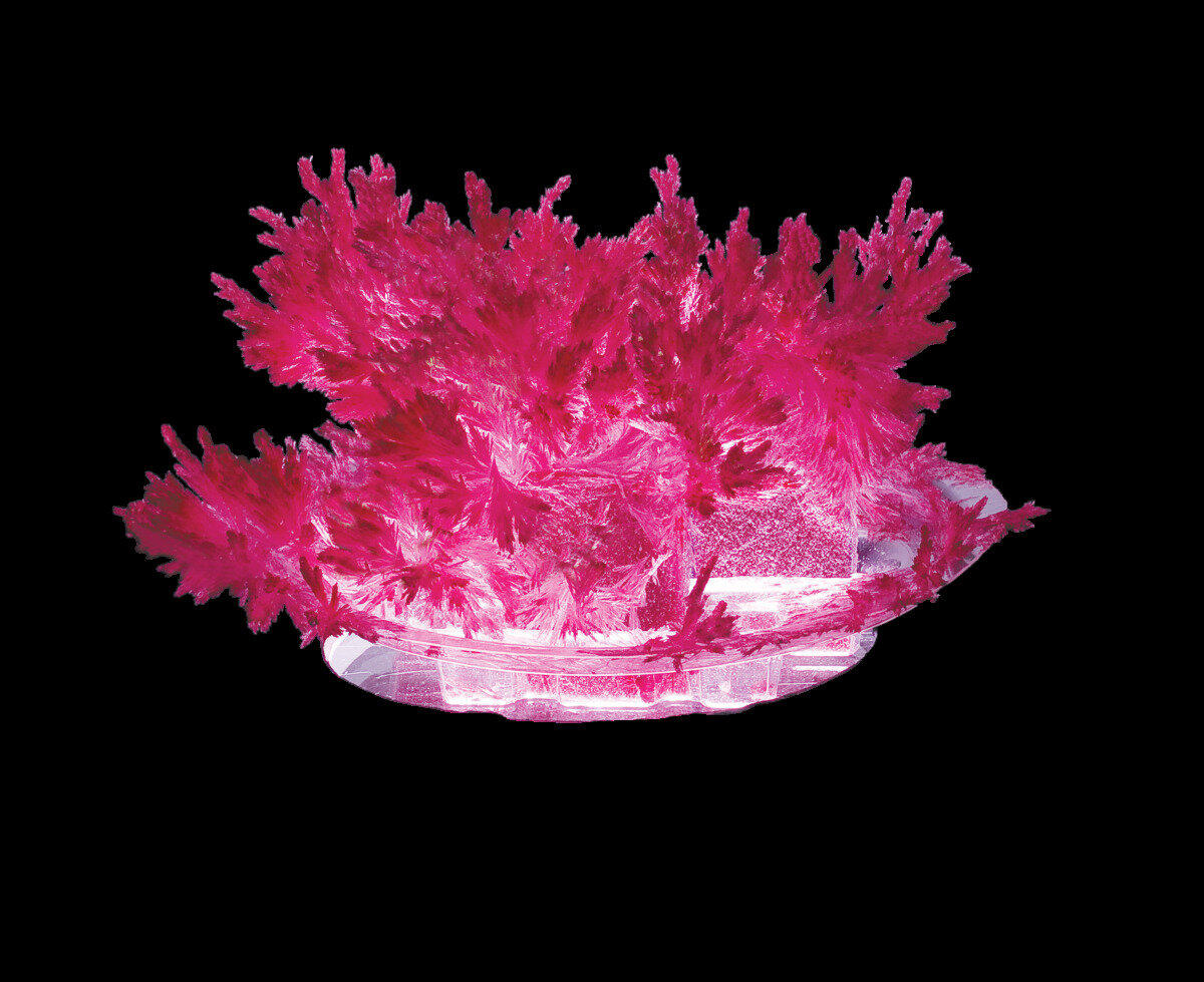 выращиваем синие кристаллы. набор лучистые кристаллы синие. лучистый кристалл. лучистые кристаллы зеленый кристалл лк-003. лучистые кристаллы малиновый кристалл лк-008.