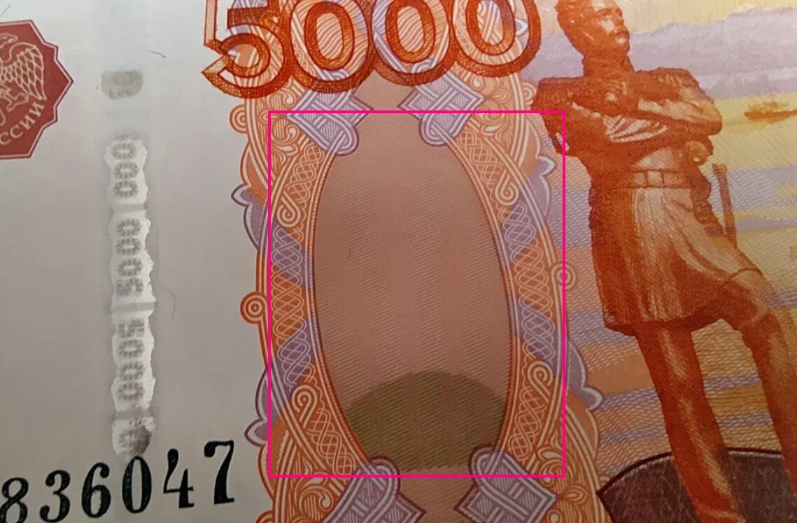 Медведь на 5000 купюре фото