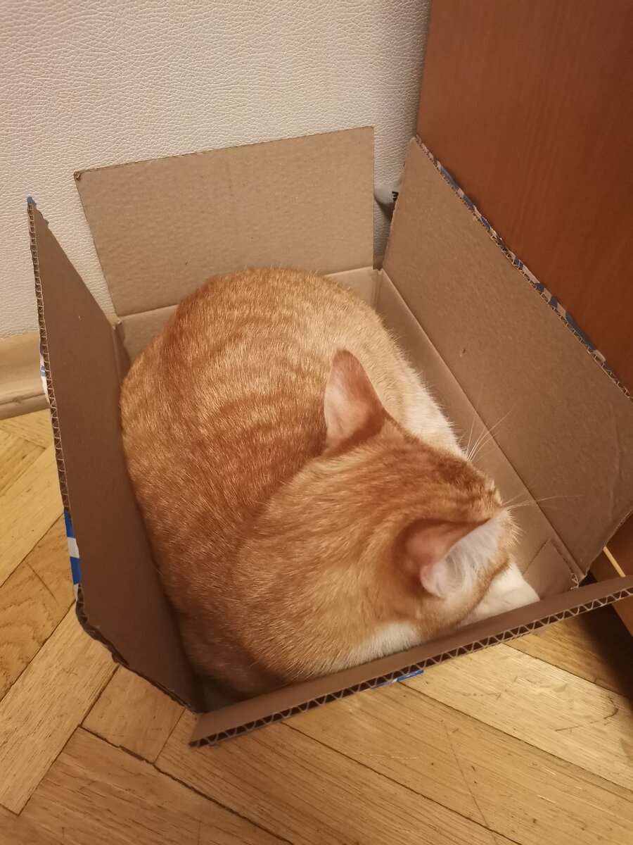 Любимая коробка) 