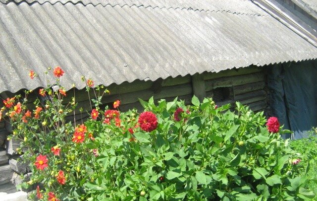 Снимок автора