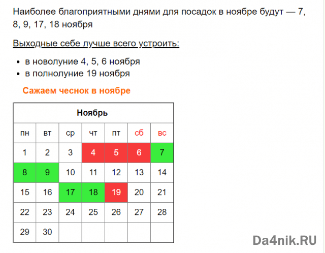 Календарь посадки чеснока на октябрь 2024 года