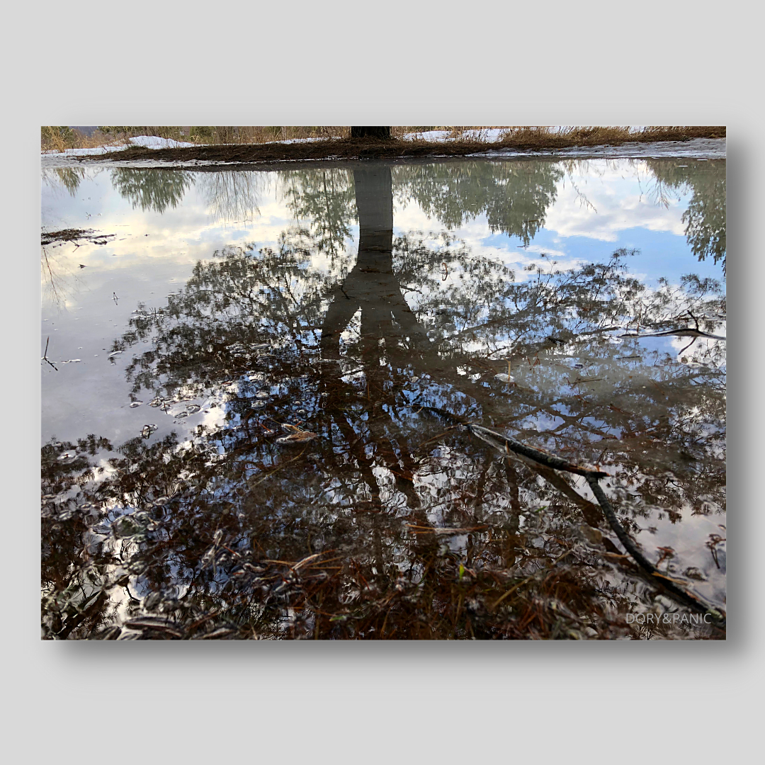 Личные фотофайлы. Инстаграм dory_panic