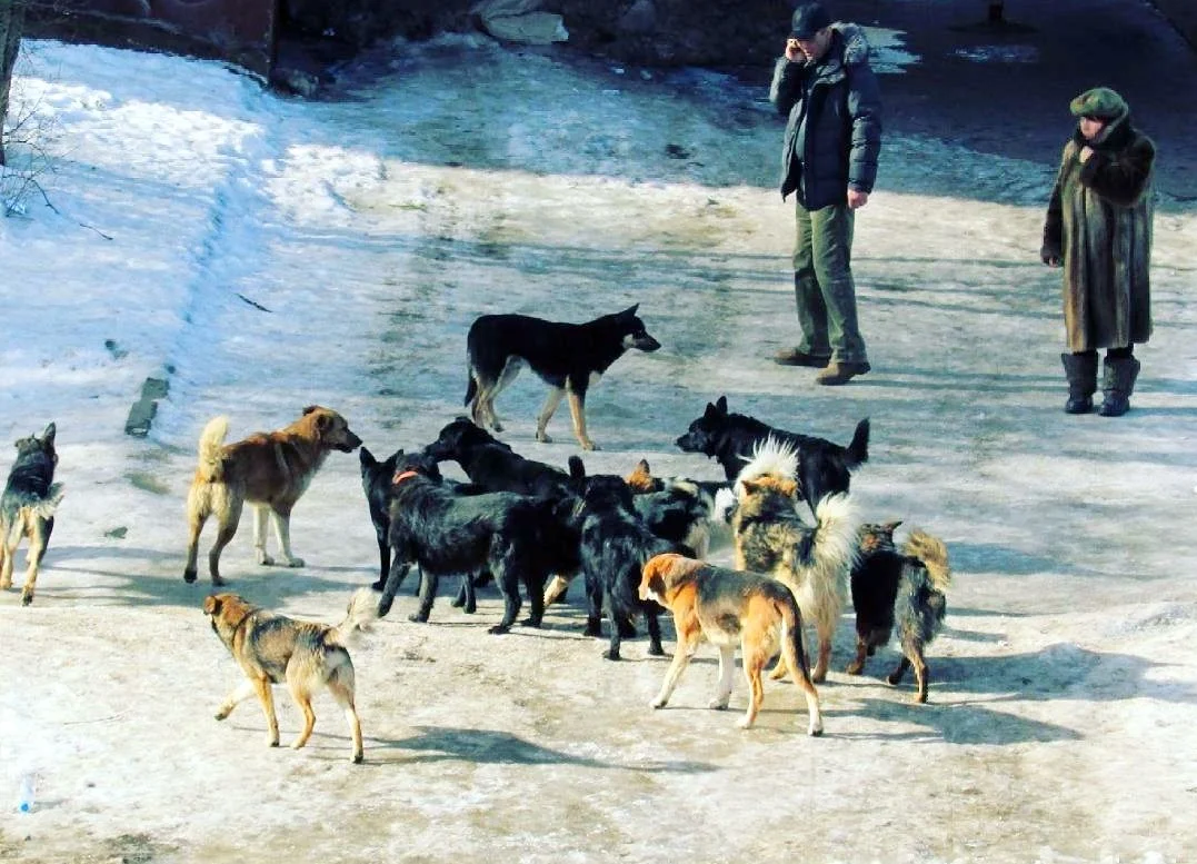 А это Россия!