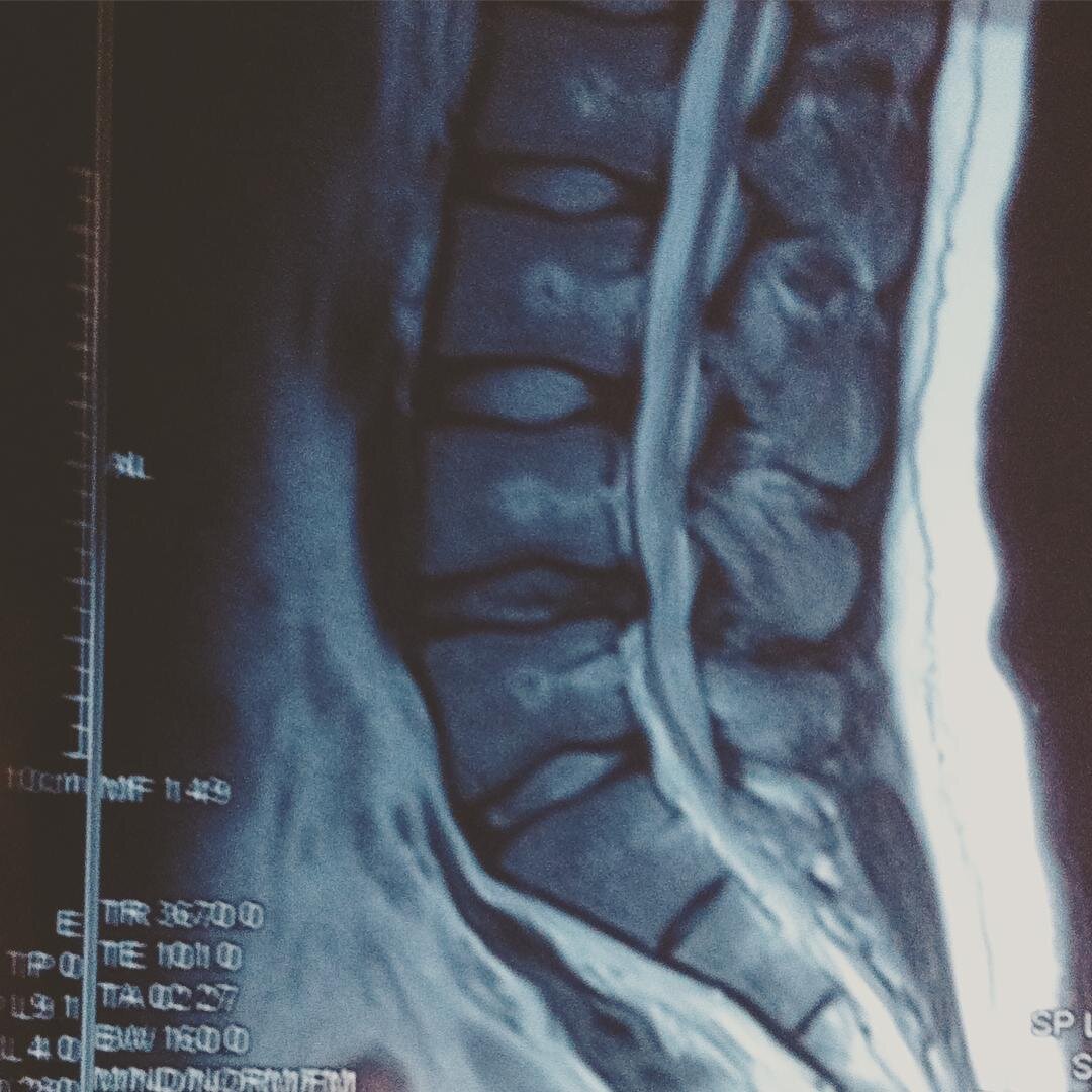 Моя давняя подруга:) Фото из моей инсты https://www.instagram.com/cherkasskymihail/