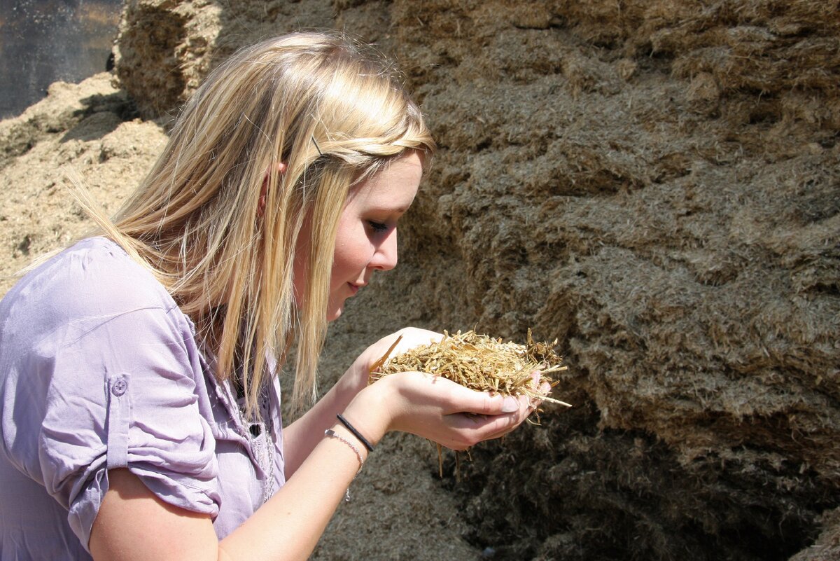 Хороши корм - успех в животноводстве