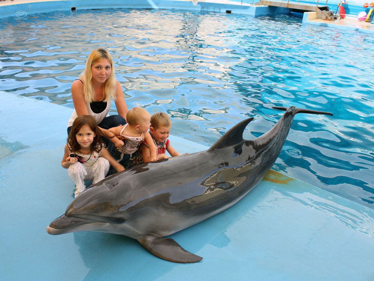 Фото с дельфином