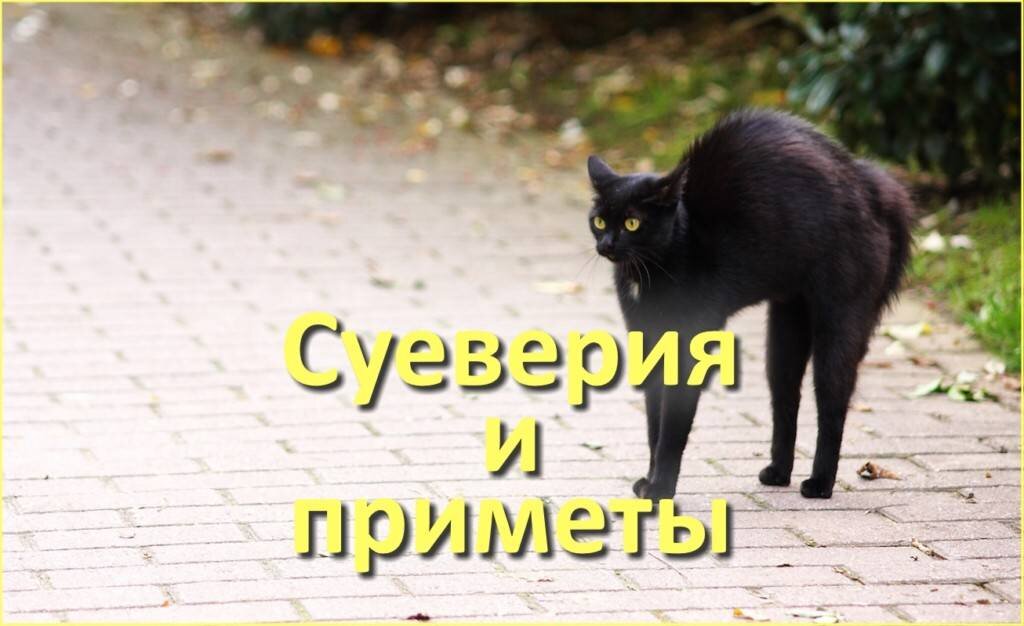 Фото взято с открытых источников 