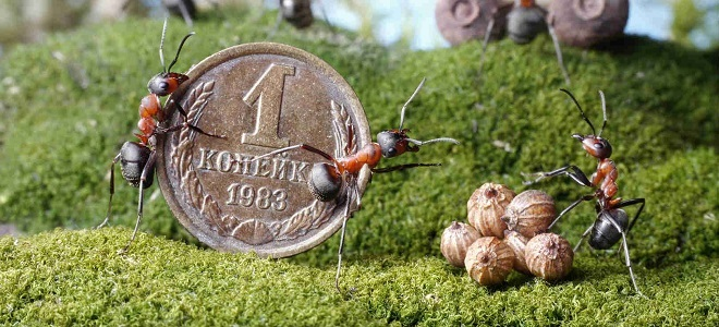 (Источник картинки - https://goo.su/5DbZ) 