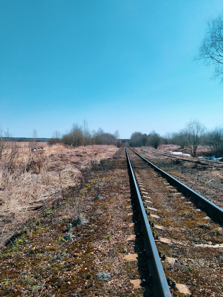 Расскажу удобно ли гулять по шпалам и есть ли в этом своя романтика. Какой отдых для меня самый душевный, большинство всегда спросит, зачем туда идти.