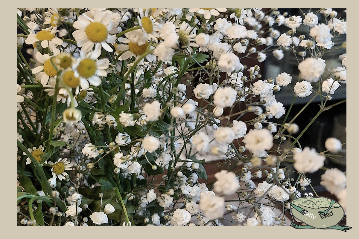 В этом году сошлись две мечты в одну. Я купила, наконец, и ромашки.