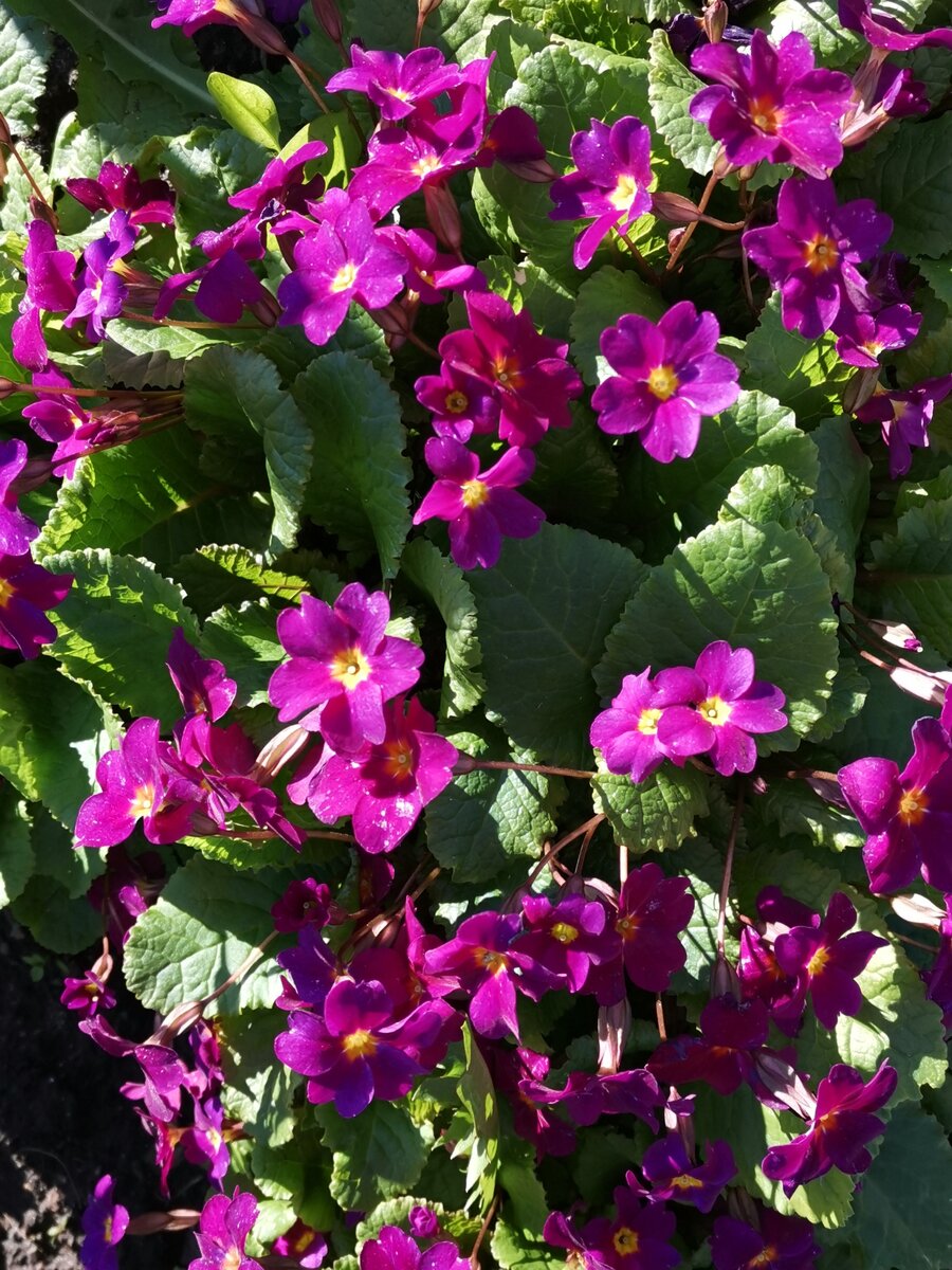 Ставьте "лайки" и подписывайтесь на мой канал!