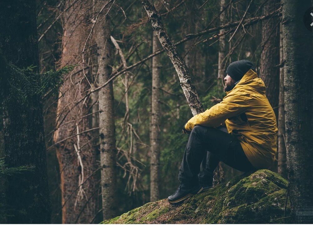 Фото из интернета