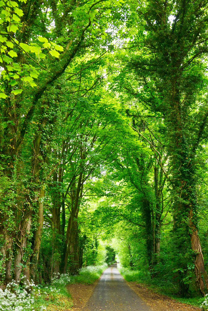 Photo by Studio Dekorasyon on Unsplash