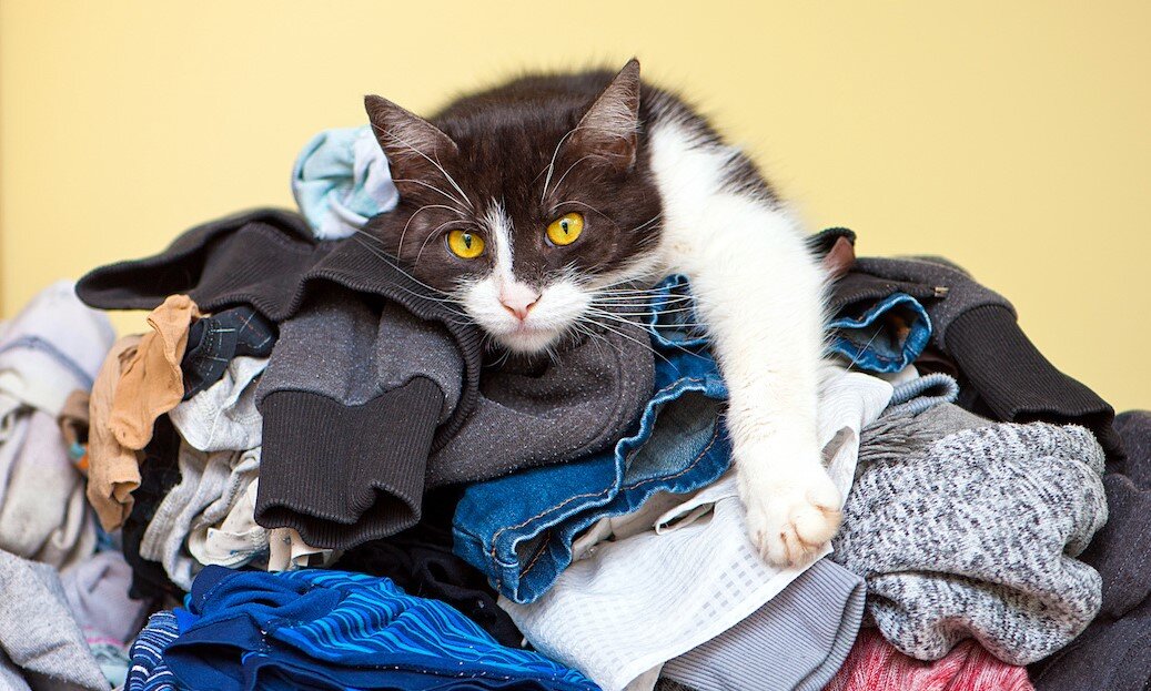 Фото из Интернета.