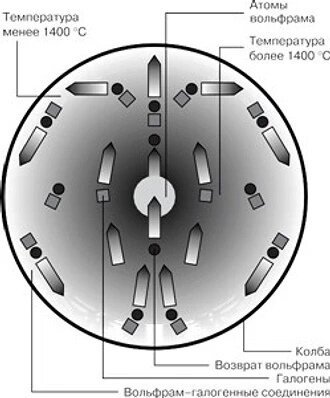 Галогеновый цикл