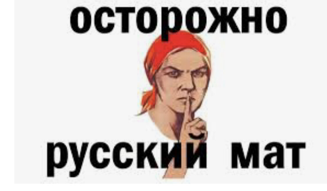 Мат пришел к нам с так называемым «татаро-монгольским игом».  Эту теорию опровергают историки, утверждая, что в тюркском языке среди кочевников никогда не было мата.  Кроме того, новгородские берестяные грамоты с циновками, которые намного старше прихода татар и датируются XII веком, опровергают эту версию.

  Коврики на этих берестяных буквах соседствуют с элементами финской лексики - то есть летописи писали не славяне, а местные полуславянские колонисты Рюрика, финны.  Это дает основание для другой версии - циновку завезли финно-угры, к тому же есть предположение, что вся Центральная Россия - это земля финских народов, пришедших на нее из Волги за столетия до рождения Чингисхана.  и Батый.