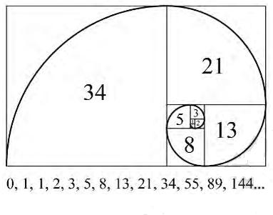 Рис. 1 Спираль Фибоначчи
