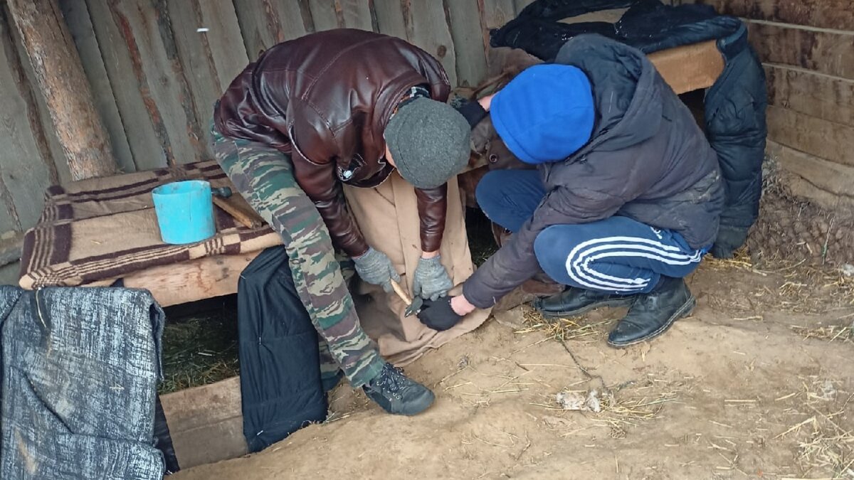 Наши помощники