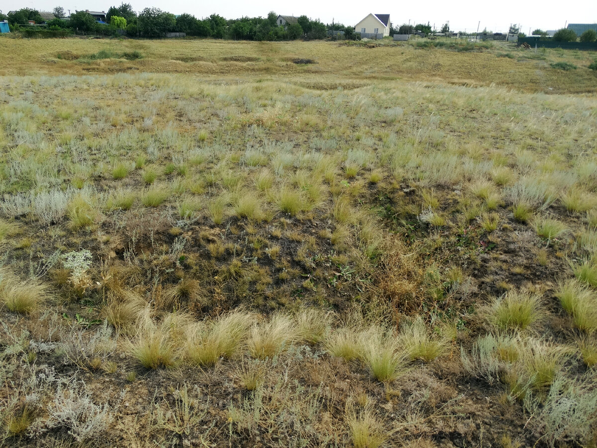 Село песчанка. Песчанка Волгоград. Песчанка Волгоградская область Советский район. Песчанка Волгоградская область Старополтавский район. Песчанка Волгоград Советский район.