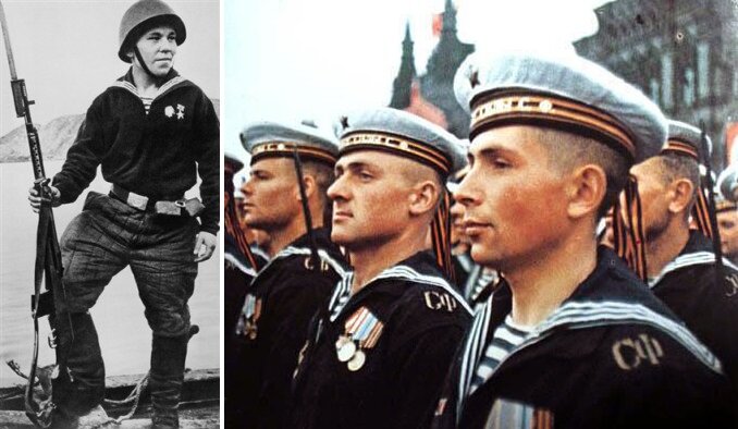 Все иллюстрации взяты из открытых источников