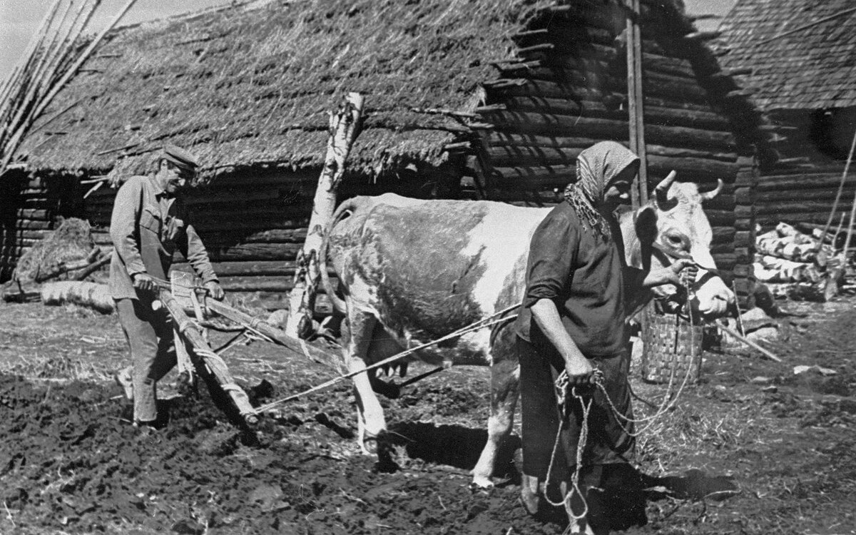 Без главной кормилицы на Руси не обходилась ни одна крестьянская семья. Фото https://vk.com.