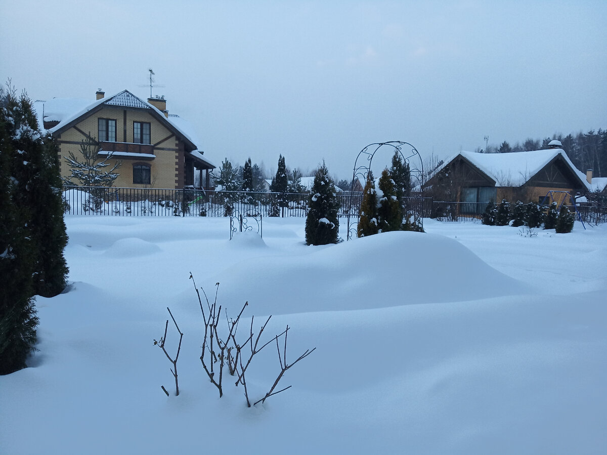 Под этим сугробом спят мои розы