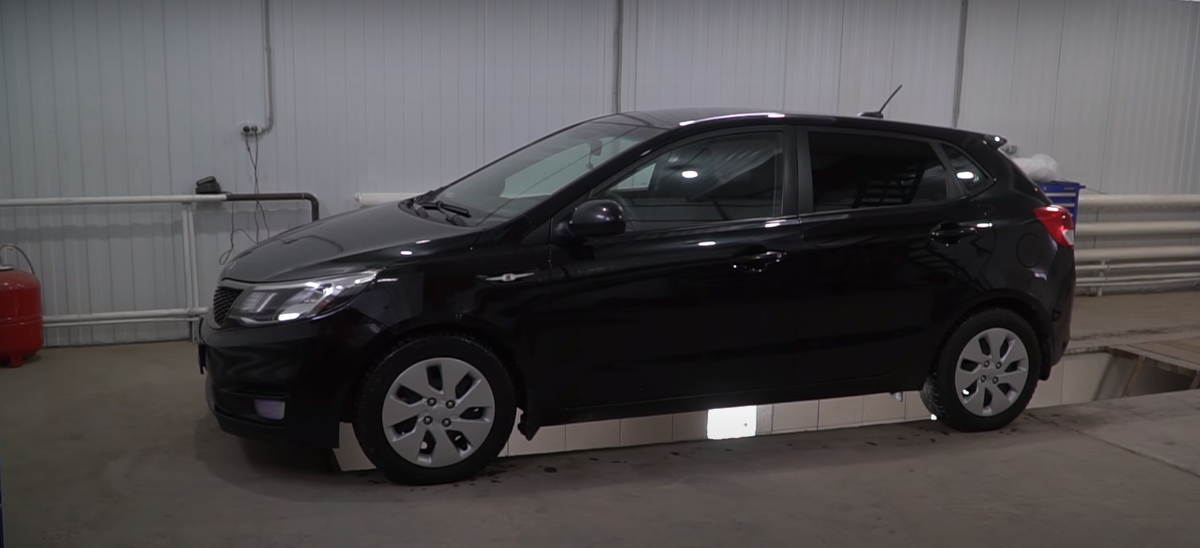 youtube: Siberian Beard