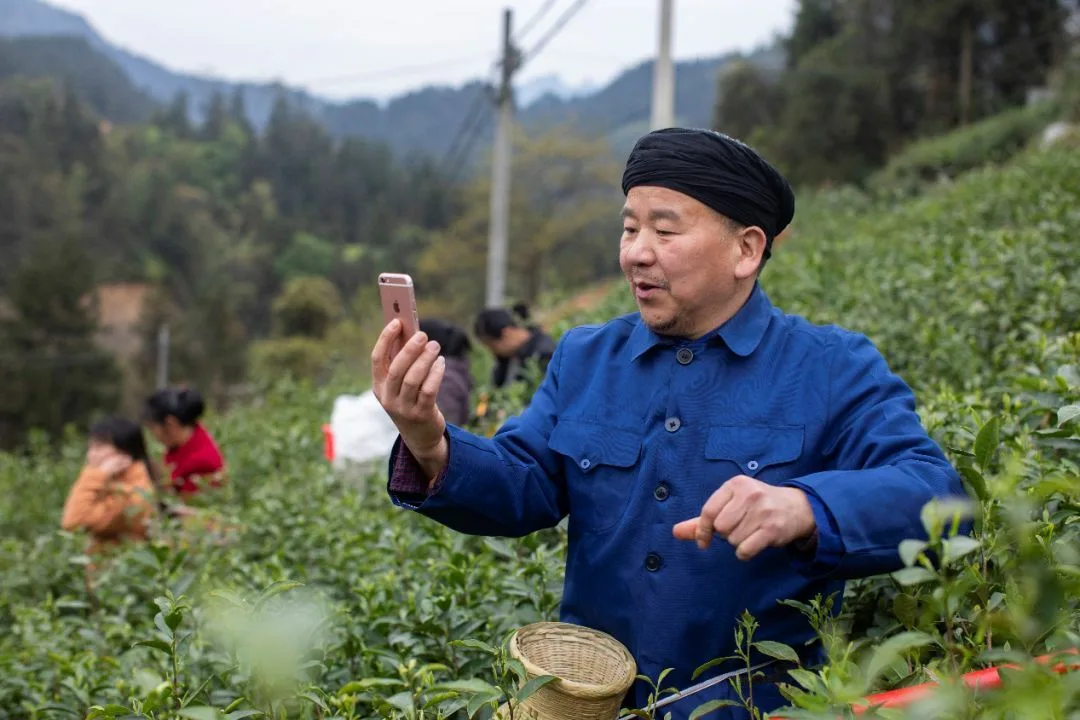 10 самых богатых фермеров мира: почему половина из них - китайцы?