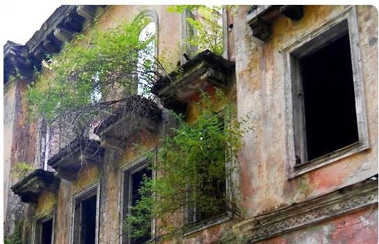 Свободный источник