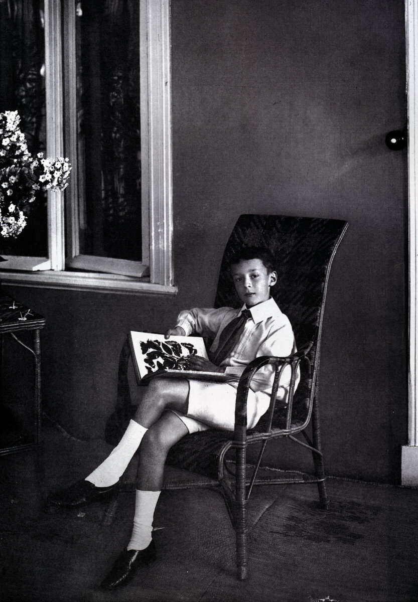    Владимир Набоков в детстве,  Legion-Media