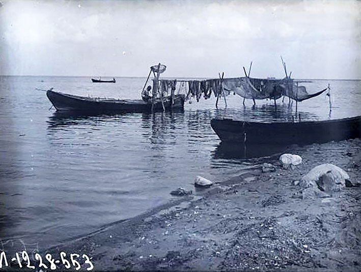 Сушка артельного невода на берегу финского залива. Фото А.А. Беликова, 1926 г. Из коллекции Музея антропологии и этнографиия им. Петра Великого (Кунсткамера). 