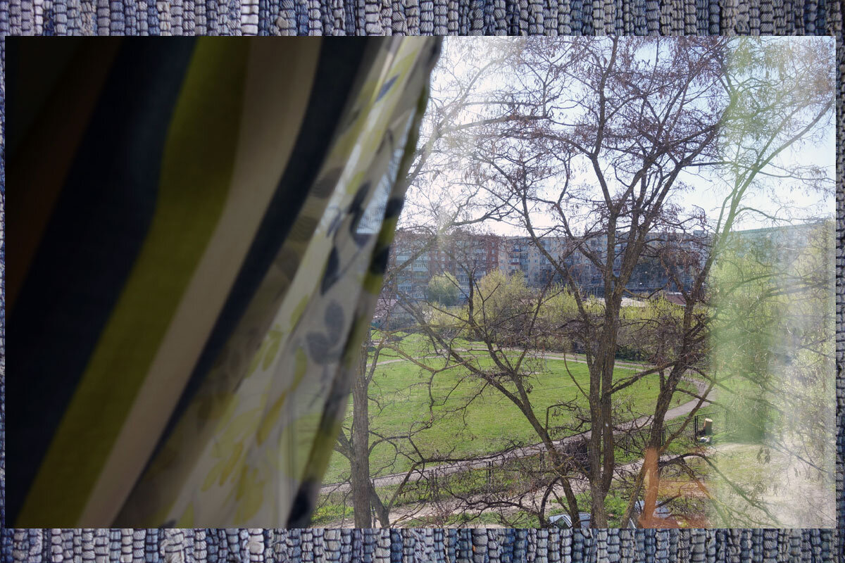 Вид из окна