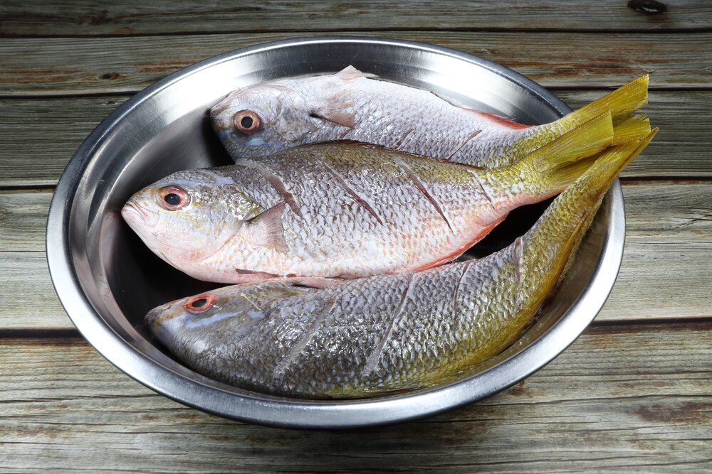 фото взято из интернета