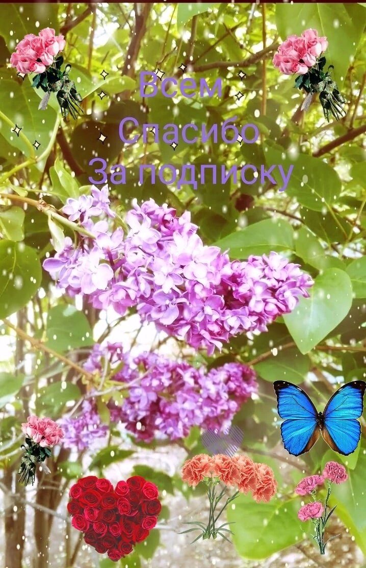 Спасибо большое всем