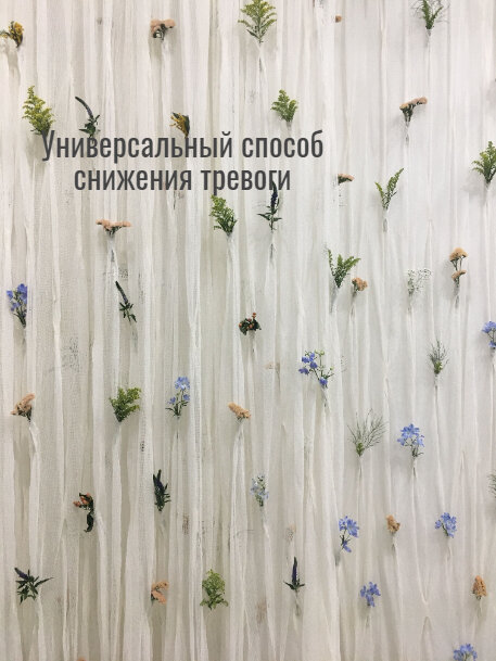 Не верьте тем, кто обещает вам такой способ