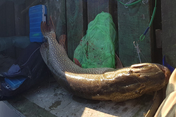    Кадр Павла Мастерова из группы «Рыбалка в Новосибирске»