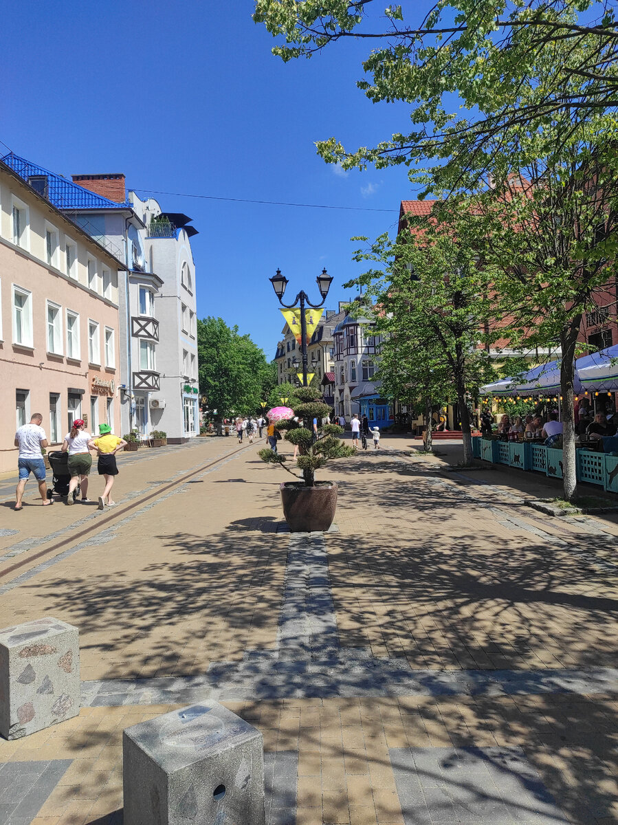 Зеленоградск 