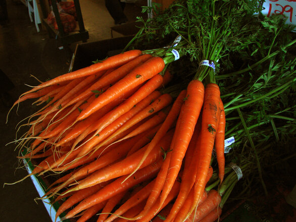 Морковка с ботвой