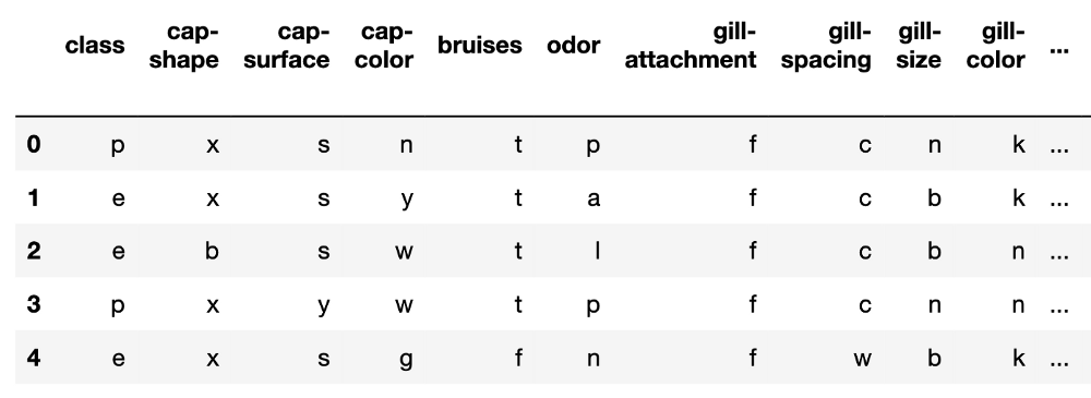 Изображение 1: снапшот набора данных “Грибы”. Источник изображения: автор. Источник набора данных: UCI