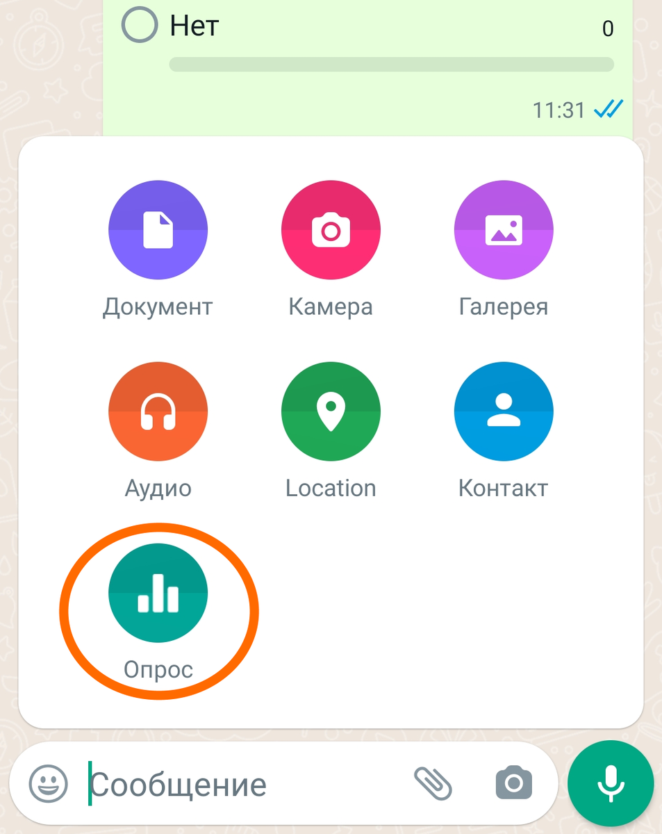 Как добавить опрос в WhatsApp? Пошаговая инструкция! | iZENDAR | Дзен