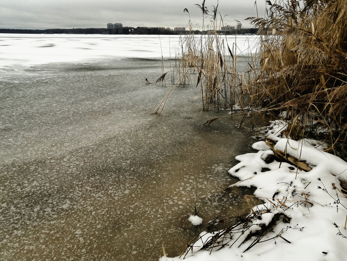 Лед на водоемах подмосковья сегодня 2023. Толщина льда на камышинке. Оранжевый лёд белгород. Лед на водоемах подмосковья сегодня 2023. Средняя толщина льда.