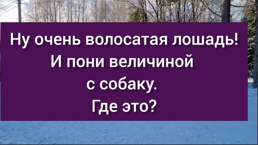 С начала года коммунальщики Благовещенска прочистили более 50 тысяч метров сетей ливнёвок