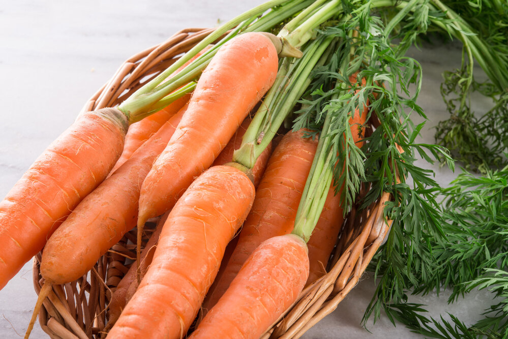 сорта моркови для длительного хранения