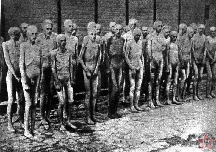 holocaust» - что это.... | ИНТЕРЕСНЫЕ ФАКТЫ | Дзен