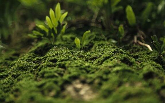    Фото: Canva