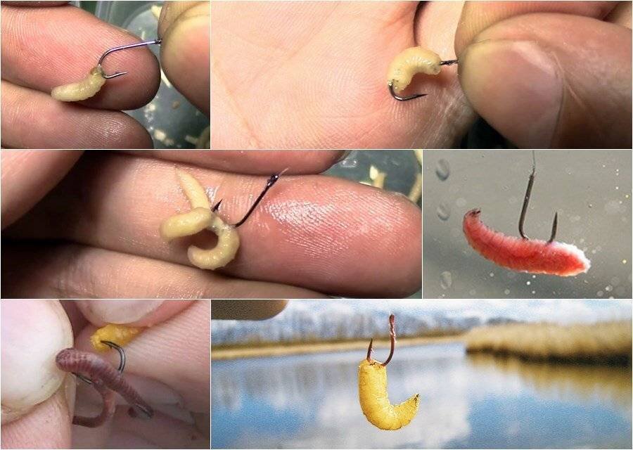 Фото с сайта: https://gruzarf.ru