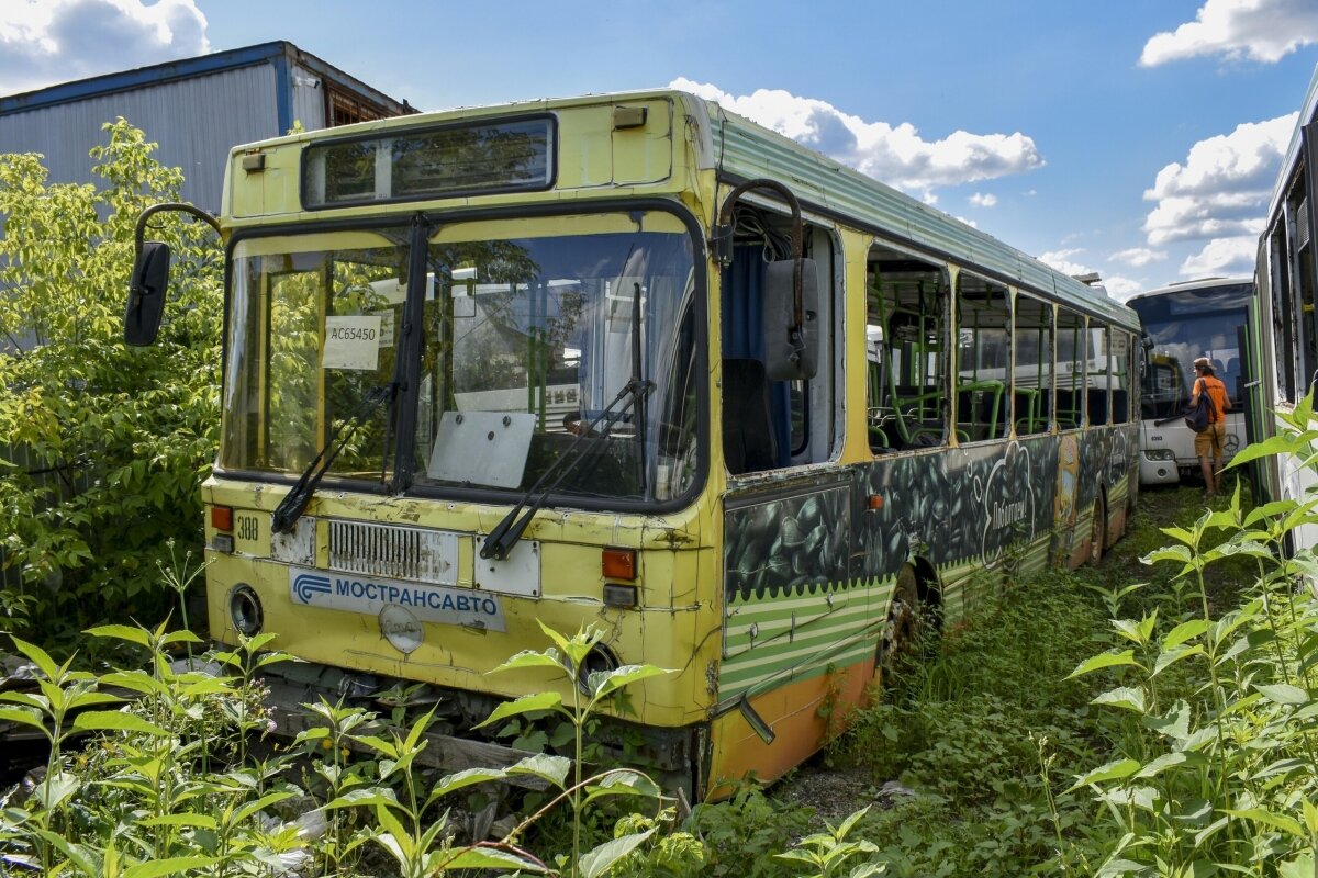 Автобус 388 славянка. 388 Автобус. 388 Автобус маршрут.