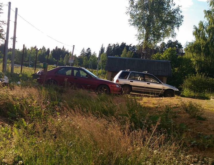 Заросли травы в 2018 году.