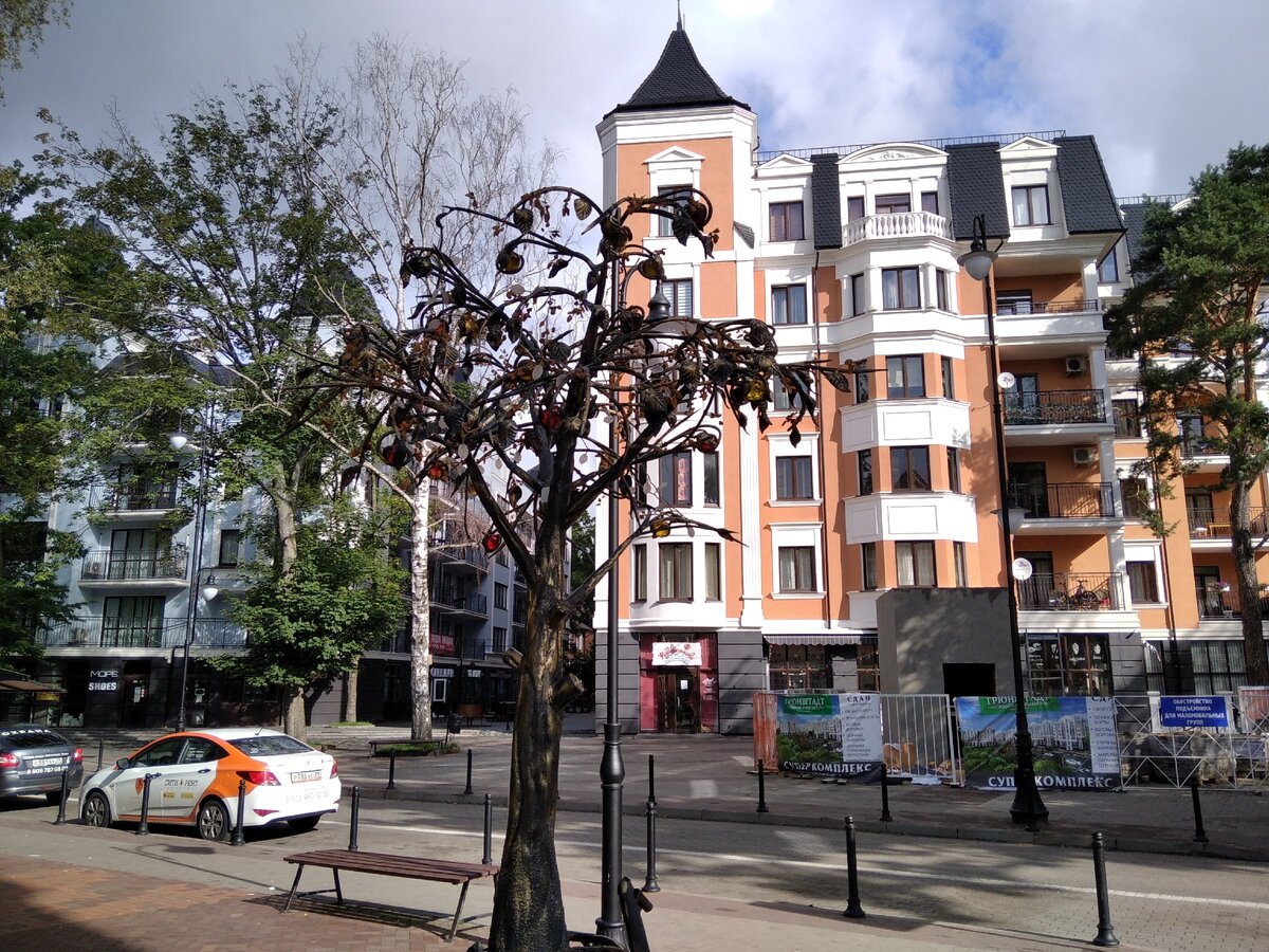 Янтарная яблоня